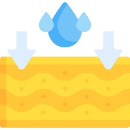 Prevent Moisture Damage