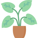 Plants